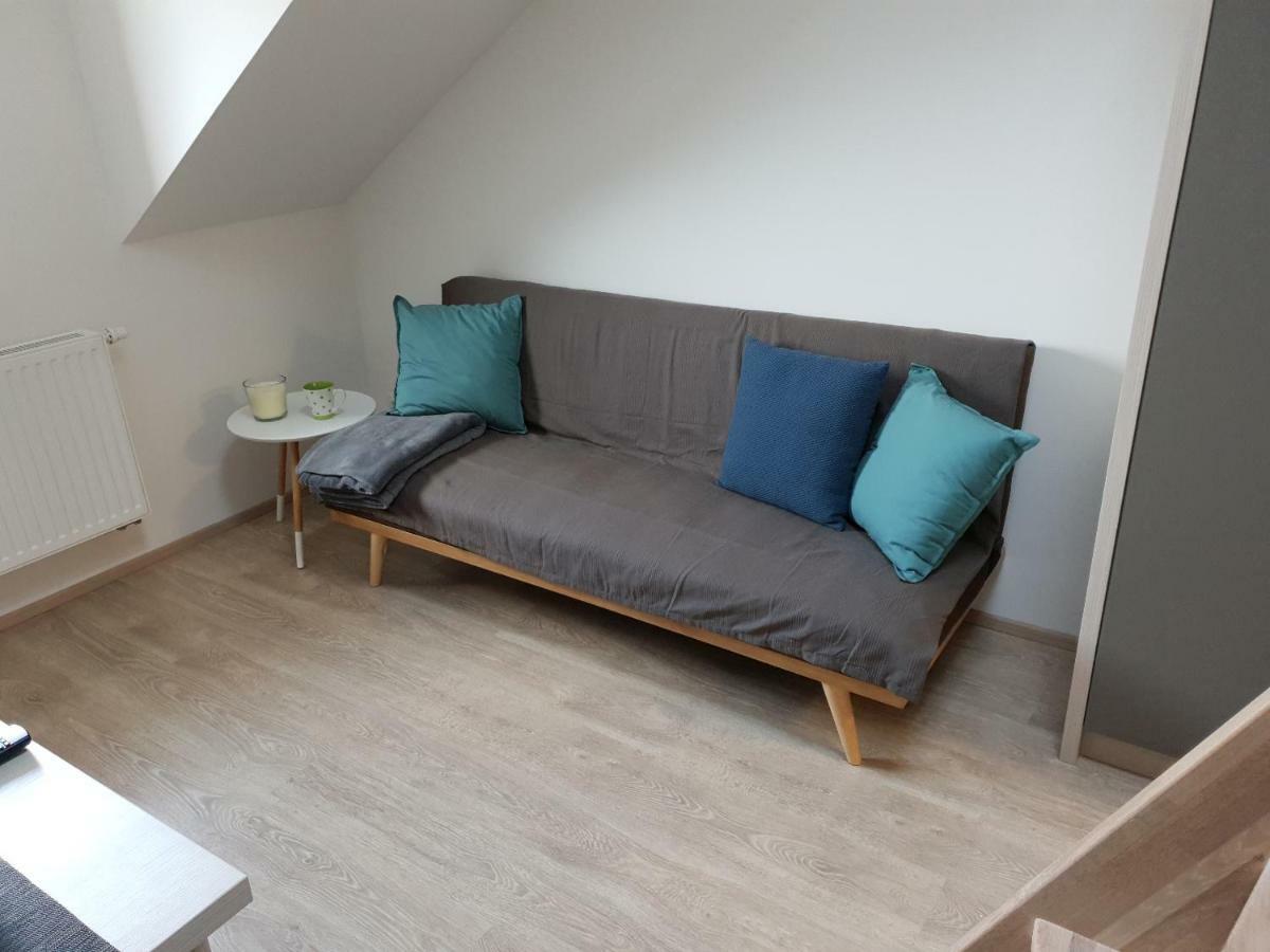 Apartman Pod Medvedi Horou Loučná nad Desnou エクステリア 写真