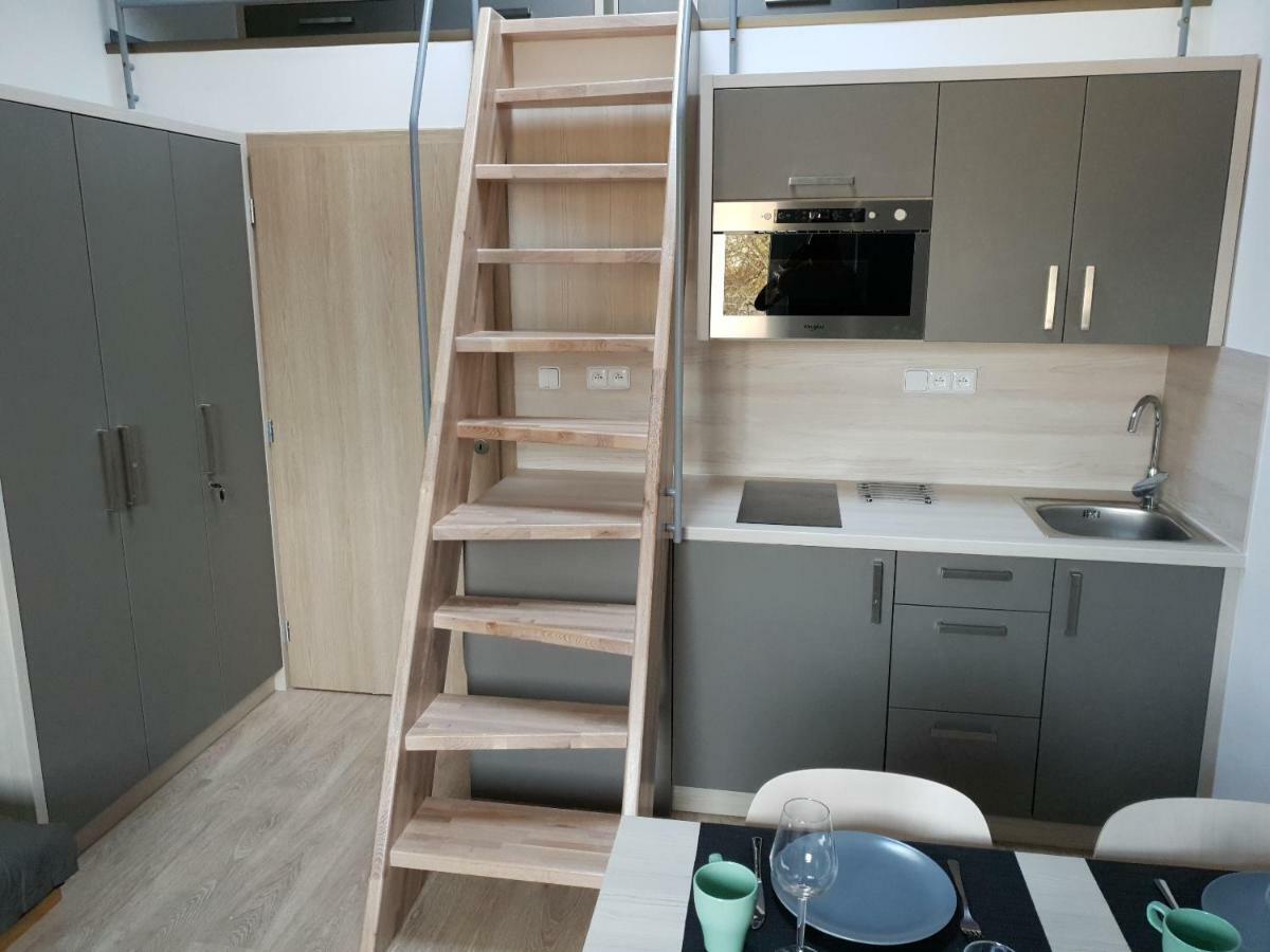 Apartman Pod Medvedi Horou Loučná nad Desnou エクステリア 写真