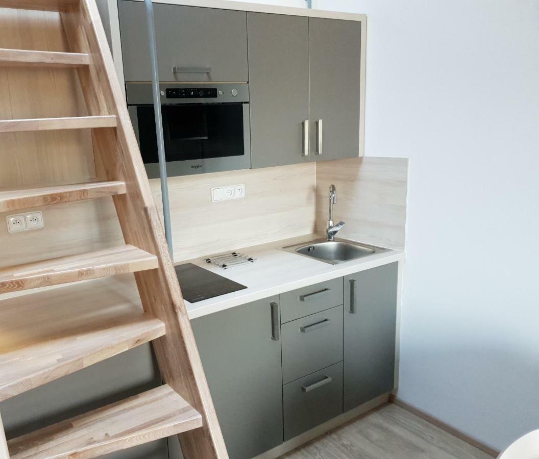 Apartman Pod Medvedi Horou Loučná nad Desnou エクステリア 写真