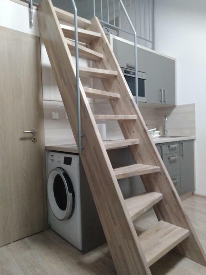 Apartman Pod Medvedi Horou Loučná nad Desnou エクステリア 写真