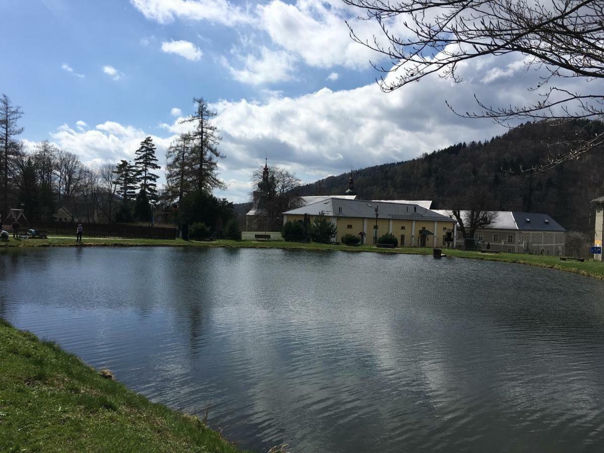 Apartman Pod Medvedi Horou Loučná nad Desnou エクステリア 写真