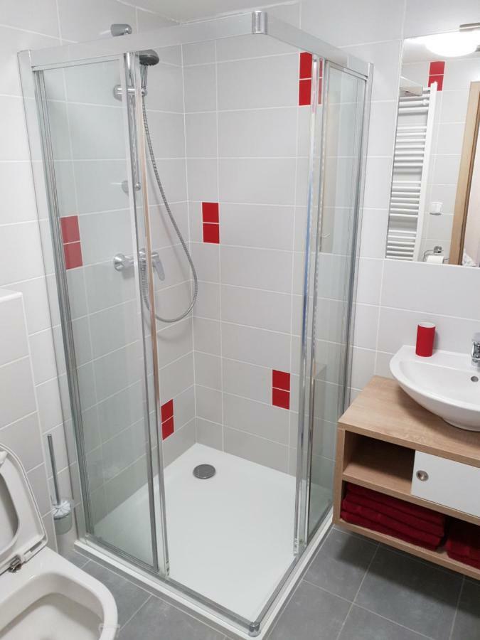 Apartman Pod Medvedi Horou Loučná nad Desnou エクステリア 写真